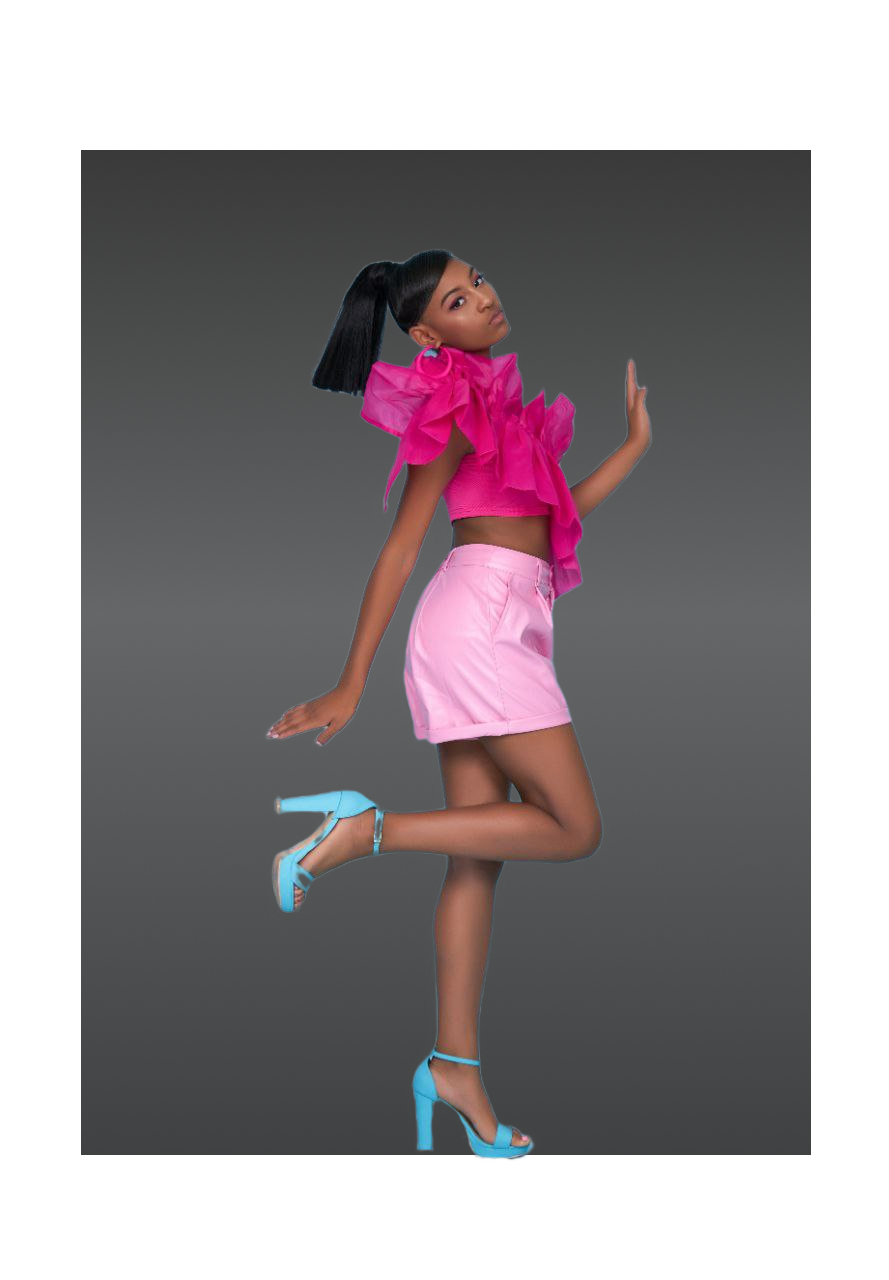 Modelo de pasarela